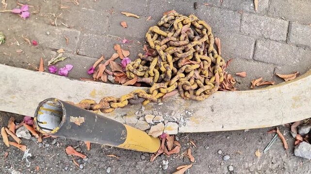 Yellow and black metal bollard with rusty heavy iron chain piled on a paved sidewalk with dry leaves and cracked concrete debris
