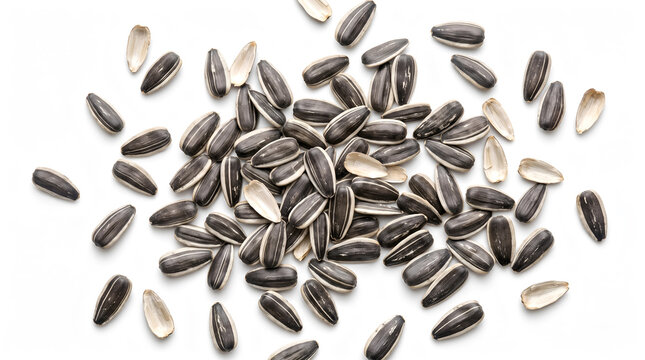 Scattered black sunflower seeds in shells on a white background