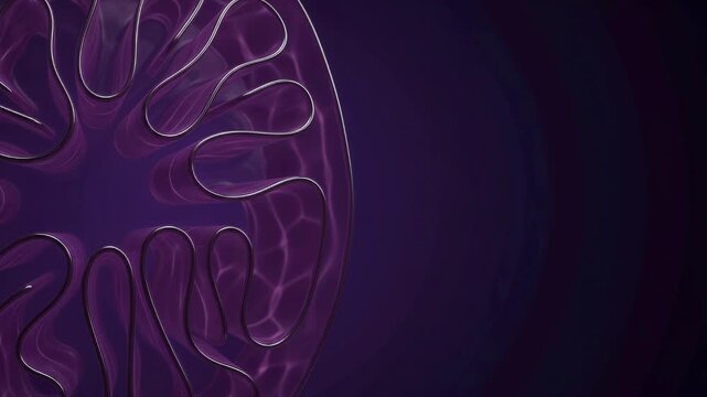 Curving Plum Mitochondrial Cristae Folds and Intermembrane Rest