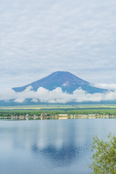 日本の風景｜山梨県・山中湖と富士山・長池親水公園付近から撮影・夏の富士山(8月)
