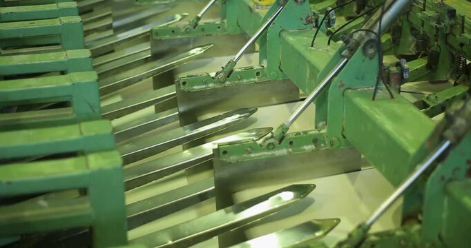 Pressing the paper pulp: The wet sheet is passed through heavy rollers.The production process at the Eucalyptus Pulp and Paper Mill.