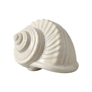 White seashell with intricate spiral pattern isolated on transparent background.