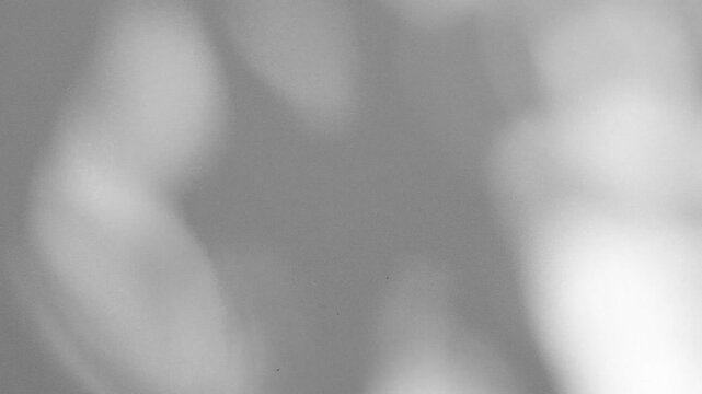 Wall interior background, studio and backdrops show products.with shadow from window color white and grey. background for text insertion and presentation product	
