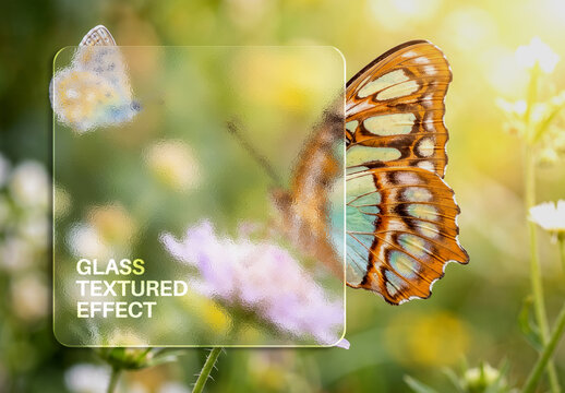 Glass Textured Photo Effect