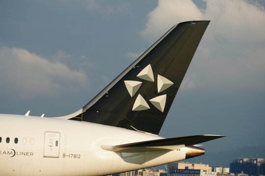Boeing 787 airplane tail features Star Alliance livery.