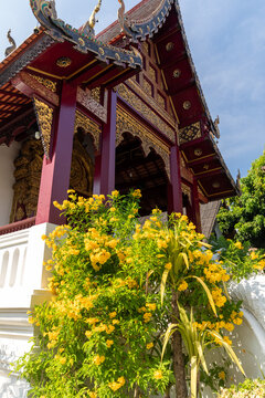 Closer view of a Lanna temple hall with carved arches and gold trim above yellow blooms, northern Thailand