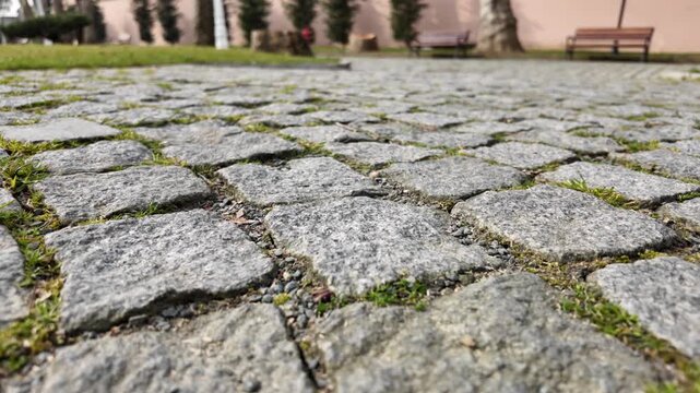 Walking on cobblestone path in a park with grass between the stones