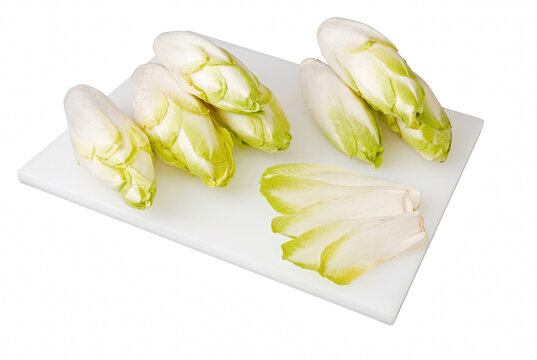 Fresh Belgian Endive Chicory on White Cutting Board