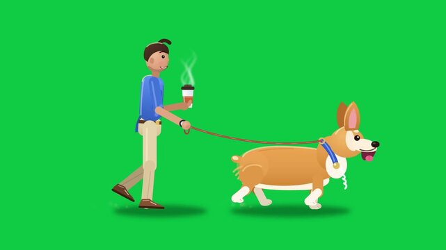 Person walking a happy corgi dog while holding a steaming coffee cup on a green background