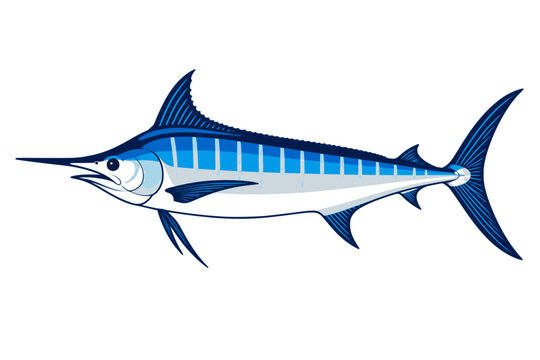 Blue marlin flat color illustration side view