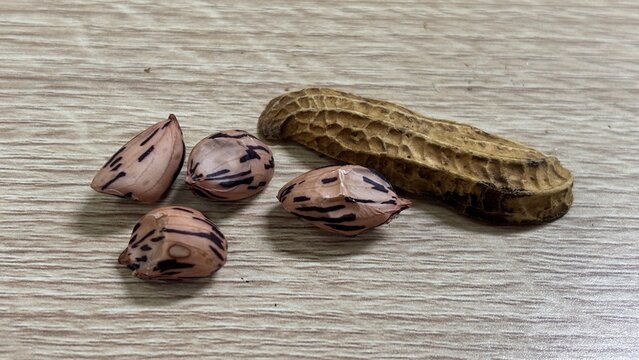 Loose roasted peanut kernels with striped skins beside whole unshelled peanut pod with textured shell on wooden table, healthy snack food comparison