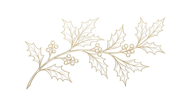 Gold line art illustration of holly leaves isolated on transparent background
