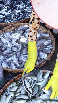 Vietnamese woman selling fish at seafood market. Female vendor sorts fresh catch in woven baskets and serves customers. Concept of local food trade, coastal culture and traditional commerce.