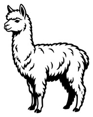 Fototapeta premium Alpaca standing profile monochro… set with simple line art design featuring sketches, drawings, vector graphics with minimalist and simple illustrations