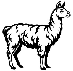 Fototapeta premium Monochrome llama vector artwork set with simple line art design featuring line art, illustrations, graphic resources with vector and design elements