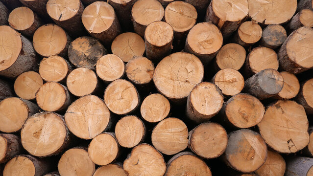 seamless background with stack of lumber wood