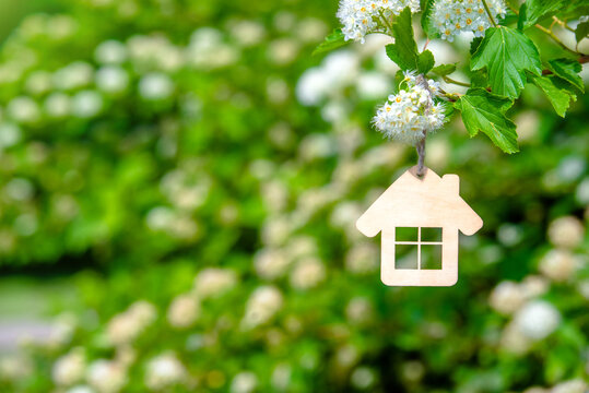 The symbol of the house hangs among the flowering branches of White hawthorn
