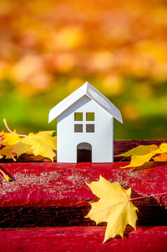 The symbol of the house stands among the fallen autumn leaves
