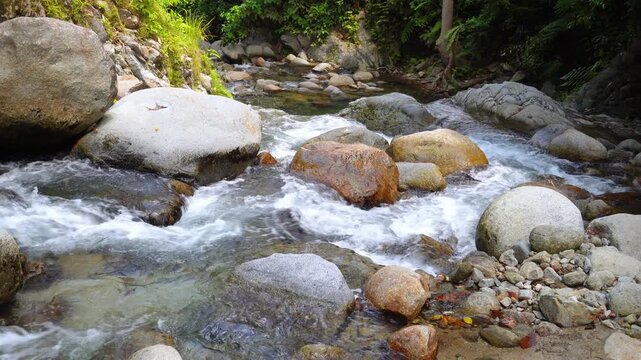 Rocky Mountain Stream Flowing Through Tropical Forest 4K