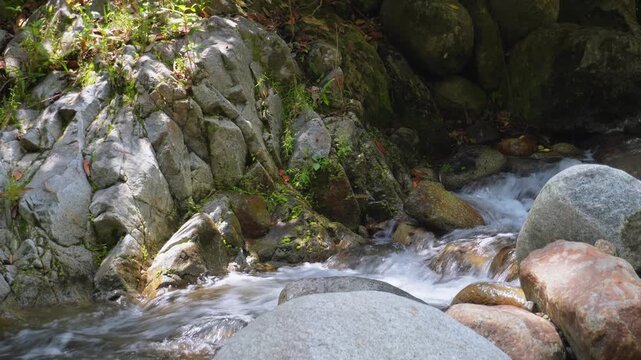 Tropical River Rapids Passing Rocky Cliff Formation 4K