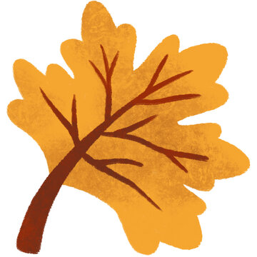 mapple leaf yellow