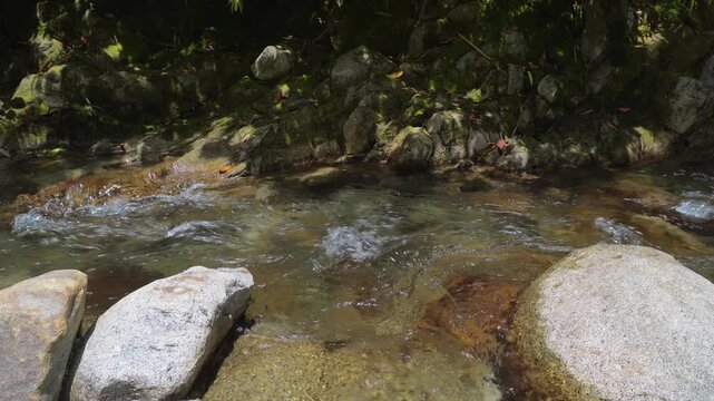 Shallow Crystal Clear Creek in Tropical Rainforest 4K