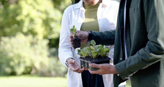 After lifting plug, two adults are planting plugs into green planter at potting table for garden