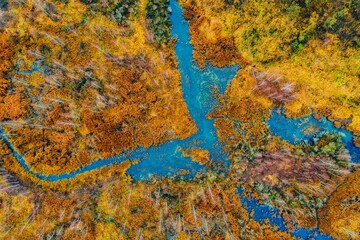 Fototapeta premium Aerial view of winding blue river amidst golden and orange autumn foliage and marshes