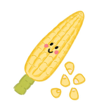 yellow fresh corn