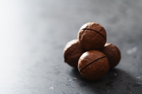 Inshell macadamia nuts on terrazzo surface with copy space