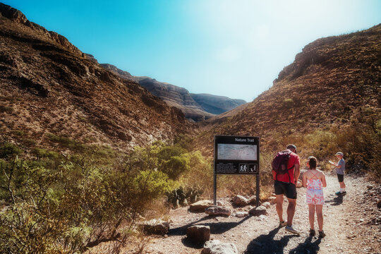 Father and Children looking at map on a hiking trail