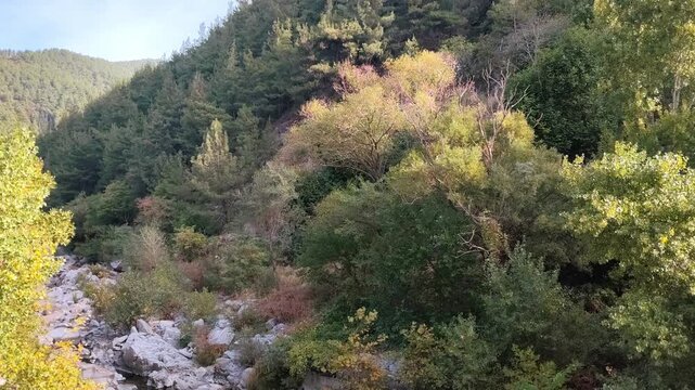 View of the lush forested hillside, rocky riverbed, and colourful autumn foliage along the tranquil Kosynthos River in Xanthi, Thrace, Greece, surrounded by the natural beauty of the Rhodope Mountains