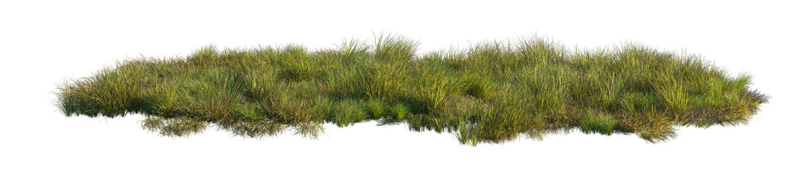 carex obnupta and imperata cylindrica rubra clump (slough sedge, japanese blood grass, red baron) isolated PNG on a transparent background premium nature cutout