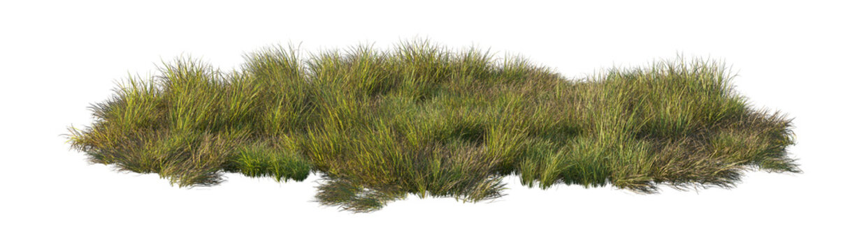 carex obnupta and imperata cylindrica rubra clump (slough sedge, japanese blood grass, red baron) isolated PNG on a transparent background premium nature cutout