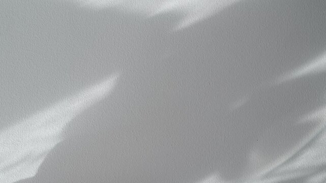 Shadow of moving leaves on white grey plaster wall background, soft natural sunlight creating gentle foliage patterns and subtle cement texture, minimalist overlay for video, advertising and interior 