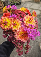 Farbenfroher Herbstblumenstrauß mit orangefarbenen Dahlien, rosa Schafgarbe und Fetthenne © knipseria