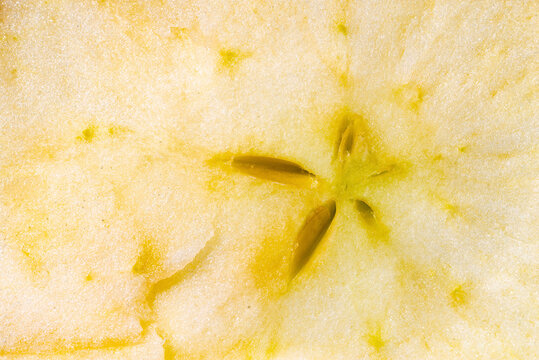 Abstract macro background texture of a thin fresh apple slice
