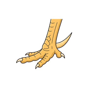 Detailed illustration of a yellow chicken foot with sharp claws isolated on a white background
