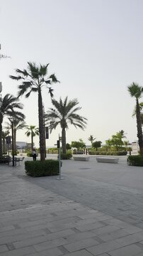 Mamsha Beach blooms with date flowers, golden sunshine, and pleasant weather along Abu Dhabi&rsquo;s scenic waterfront.
