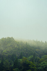 Scenic hill station landscape in India with green mountains, misty valleys and forest. Beautiful Himalayan scenery, ideal for travel, tourism, nature and holiday destination themes. © Sanket Mishra