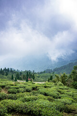 Scenic hill station landscape in India with green mountains, misty valleys and forest. Beautiful Himalayan scenery, ideal for travel, tourism, nature and holiday destination themes. © Sanket Mishra