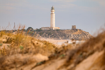 rafalgar lighthouse framed by coastal sand dunes in Cadiz © Paolo Corazza
