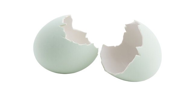 Two broken light green eggshells with jagged edges