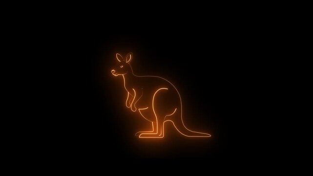 Neon glowing orange color kangaroo icon isolated on black background. 4k video animation.