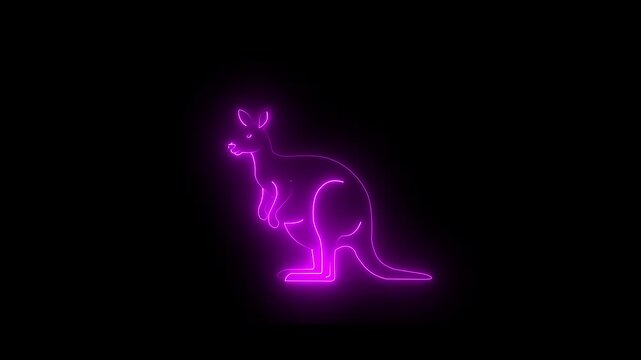 Neon glowing pink color kangaroo icon isolated on black background. 4k video animation.