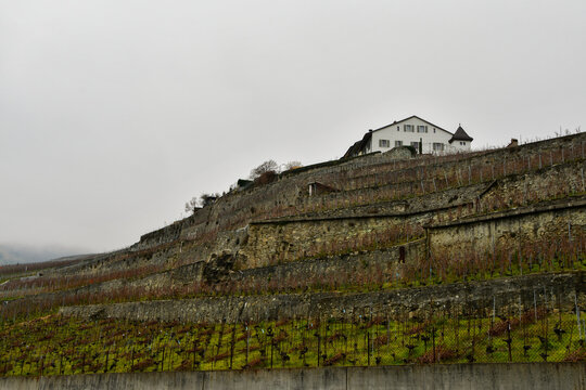 Scenery near Epesses railway station in Lavaux, Switzerland, on a cloudy day, January 1, 2020