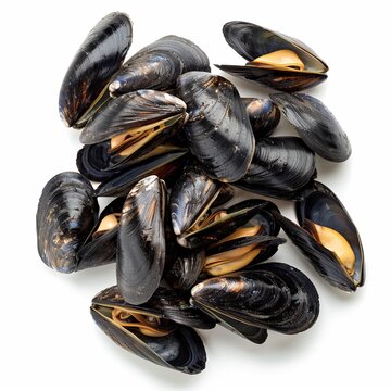 A pile of fresh, plump mussels, many open to reveal their succulent orange flesh, are ready for cooking
