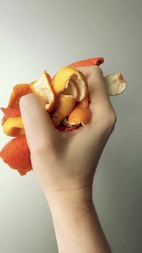 Fistful of Satsuma Peel Held Up in Vertical Video