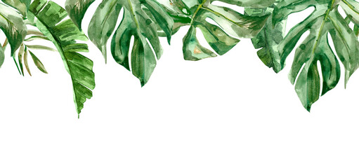 Tropical monstera and banana leaves watercolor border illustration isolated on white. Hand drawn sketch botanical painting jungle flora © Yanna Verver