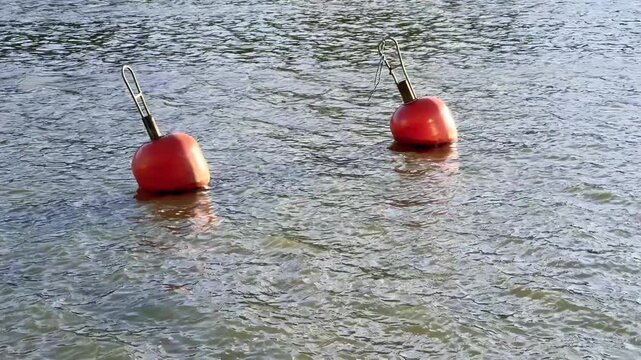 Two Red Mooring Buoys Floating on Rippling Water
